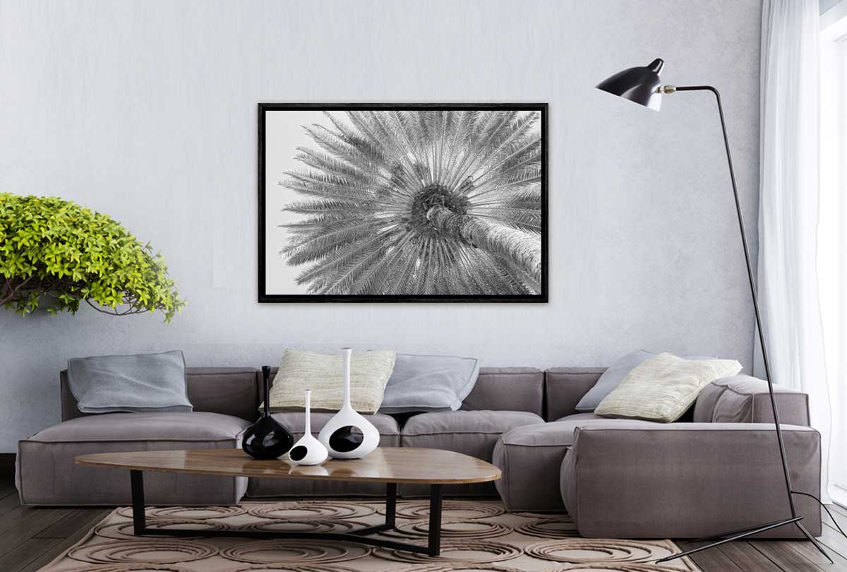 B&W Palm from Below | Canvas Wall Art Print - Final Touch Decor