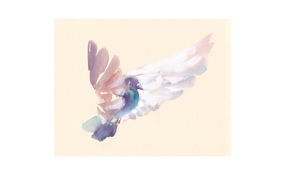 Pigeon | Canvas Art Print - Final Touch Decor
