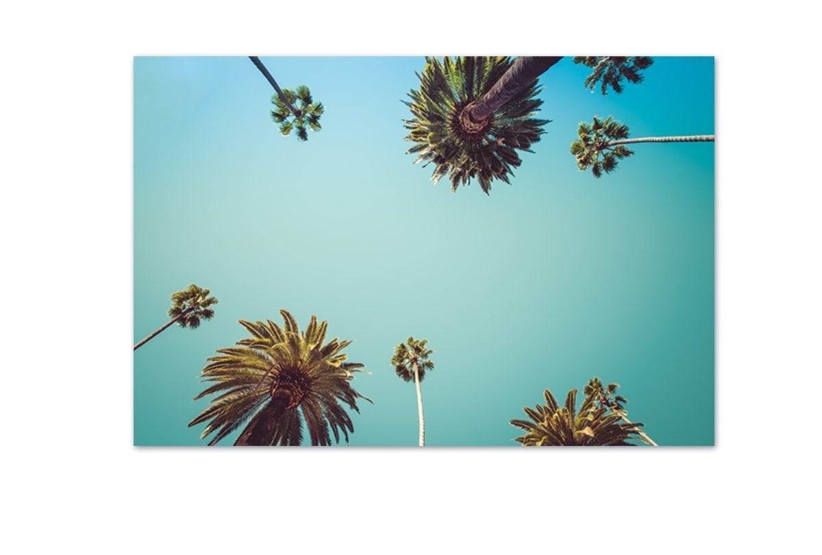 Rodeo Drive | Canvas Art Print - Final Touch Decor
