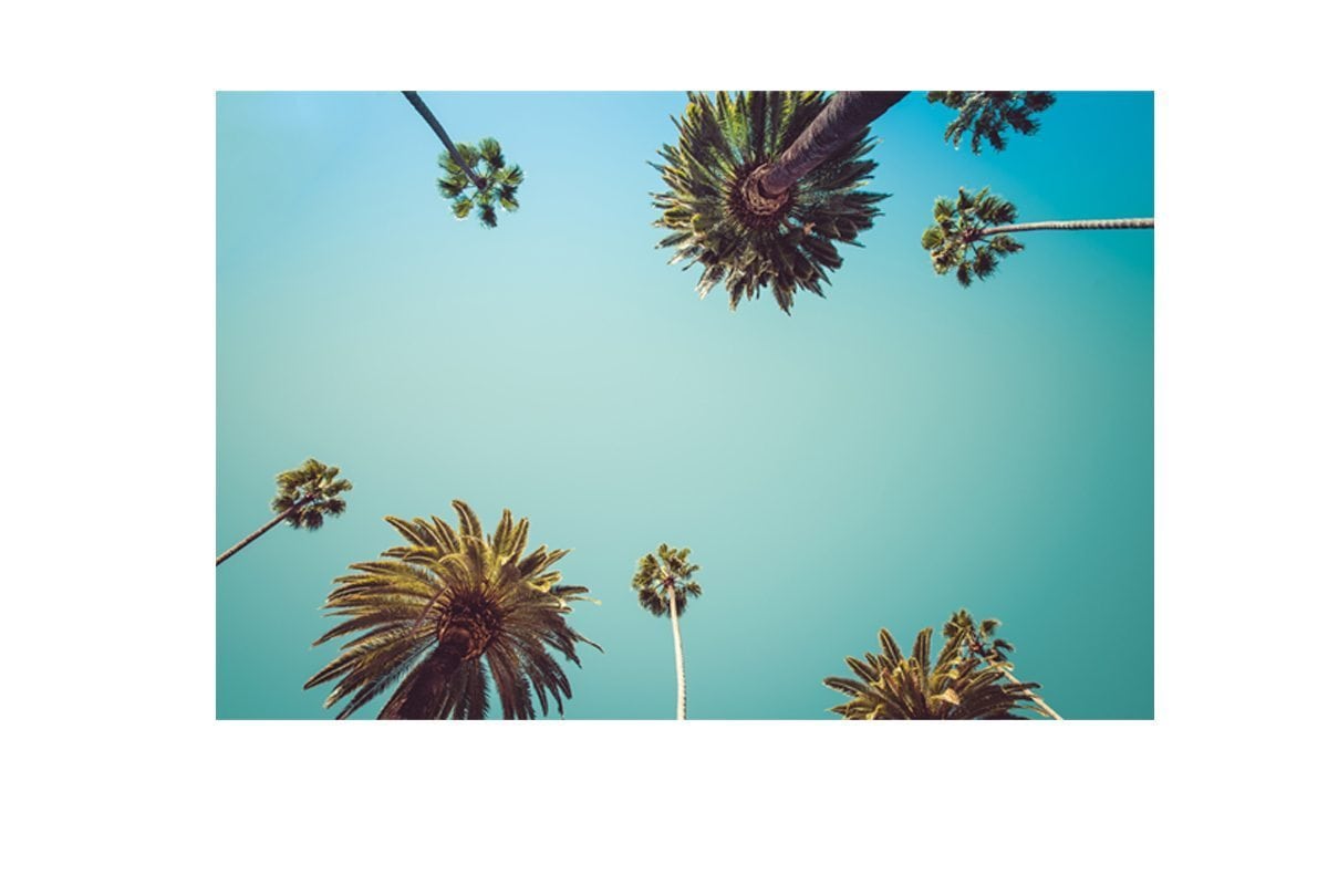Rodeo Drive | Canvas Art Print - Final Touch Decor