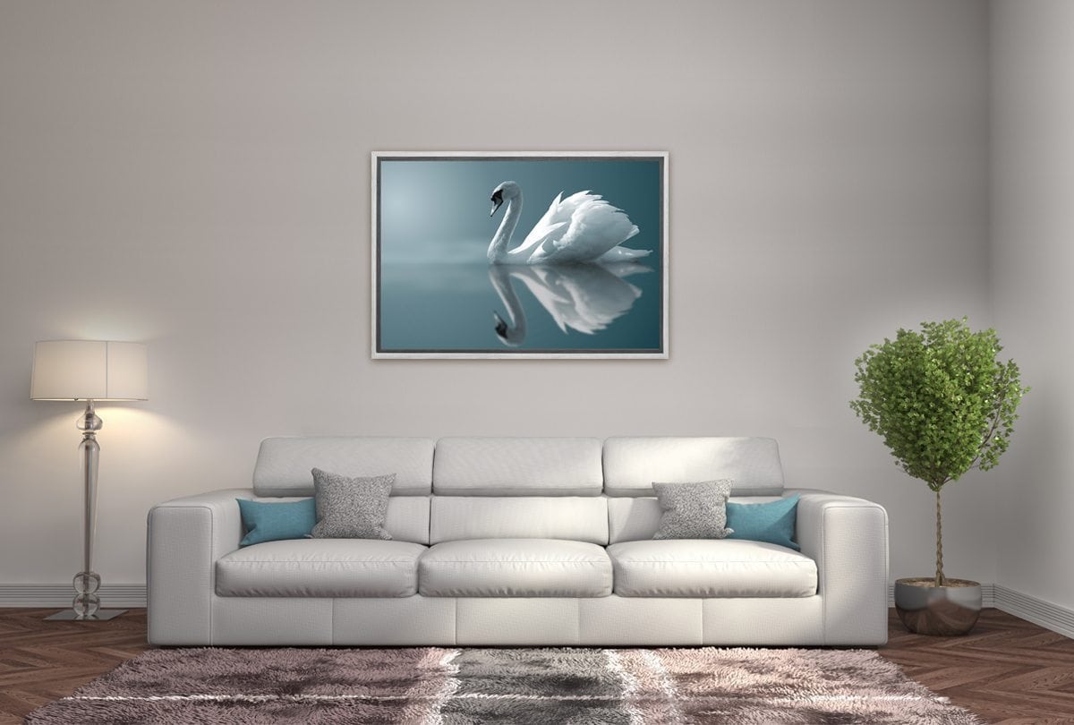 White Swan | Canvas Art Print - Final Touch Decor
