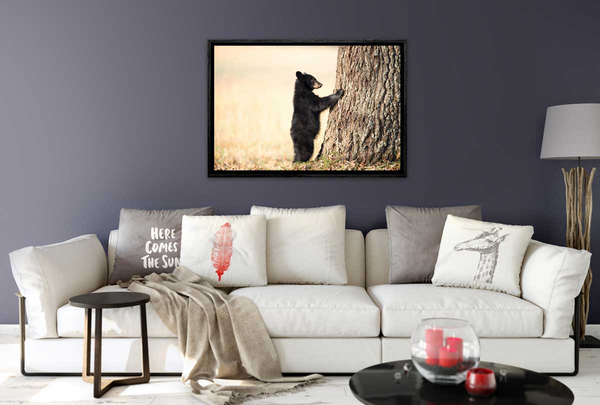 Black Bear Cub | Canvas Wall Art Print - Final Touch Decor