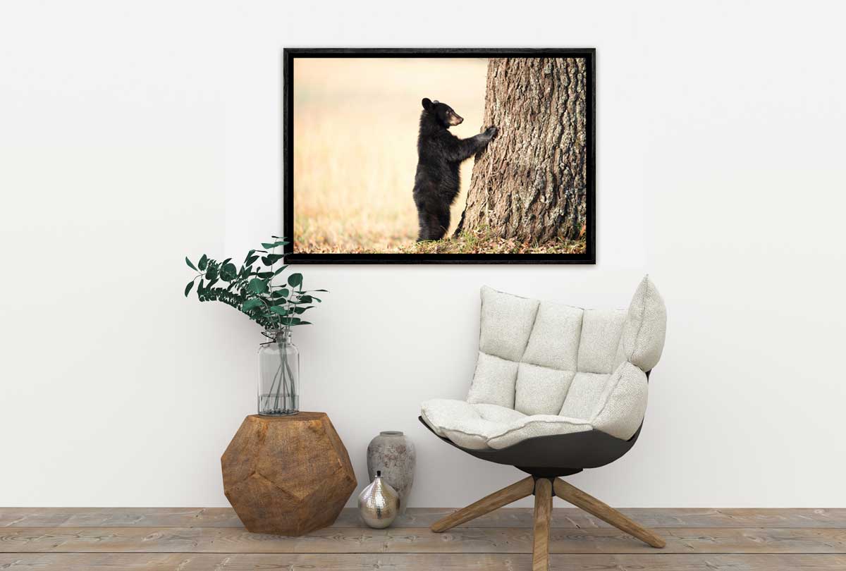 Black Bear Cub | Canvas Wall Art Print - Final Touch Decor