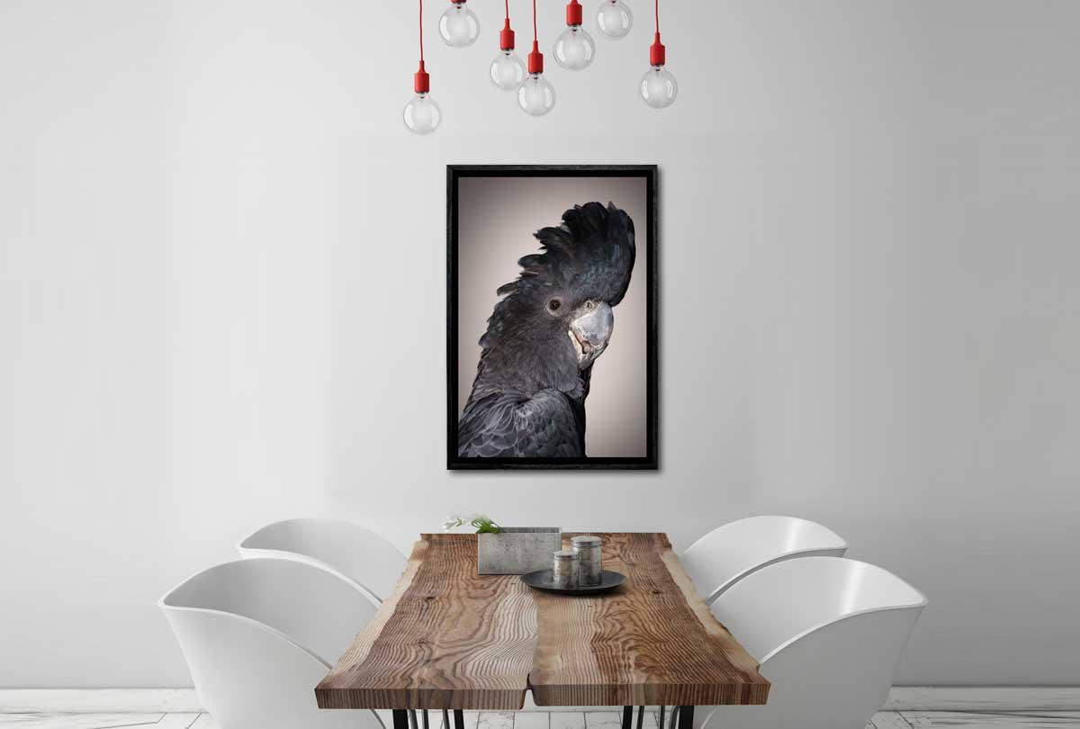 Black Cockatoo | Canvas Wall Art Print - Final Touch Decor