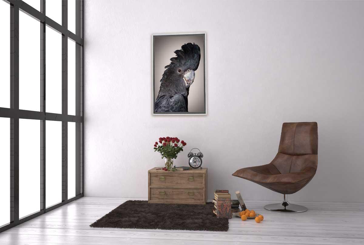 Black Cockatoo | Canvas Wall Art Print - Final Touch Decor
