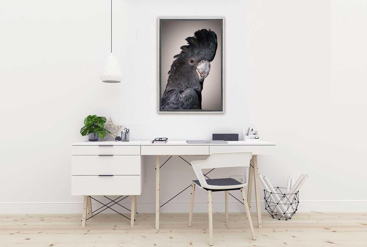 Black Cockatoo | Canvas Wall Art Print - Final Touch Decor