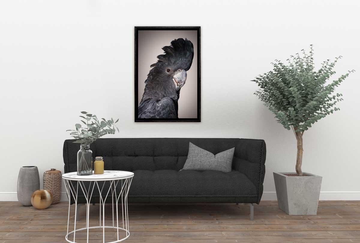 Black Cockatoo | Canvas Wall Art Print - Final Touch Decor