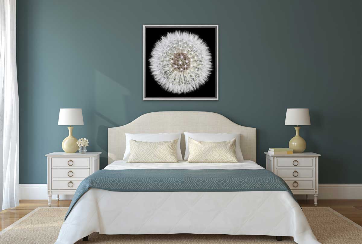 Dandelion Black Background | Canvas Wall Art Print - Final Touch Decor