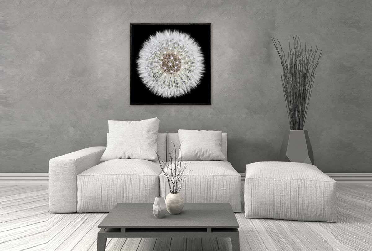 Dandelion Black Background | Canvas Wall Art Print - Final Touch Decor
