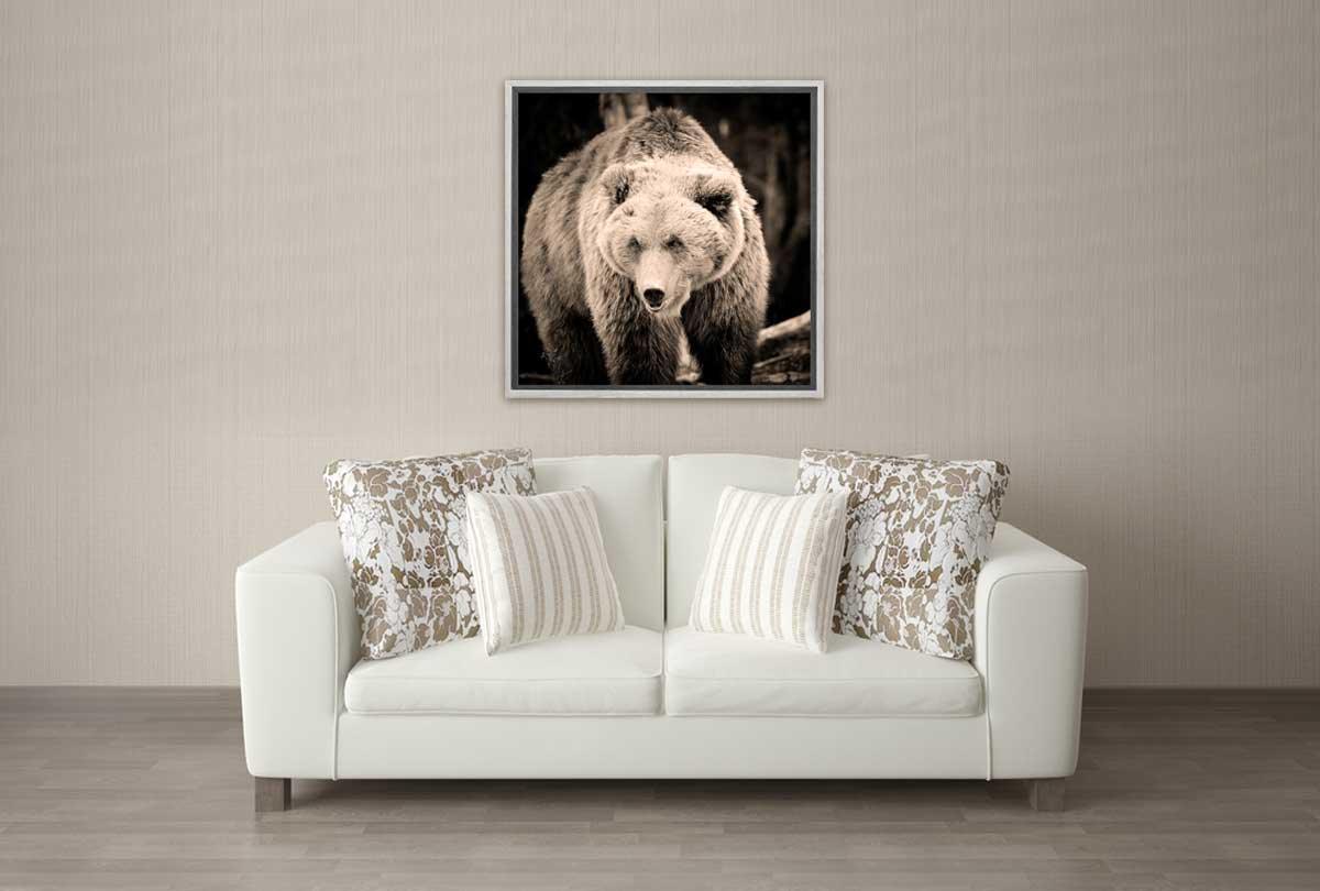 European Brown Bear | Canvas Wall Art Print - Final Touch Decor