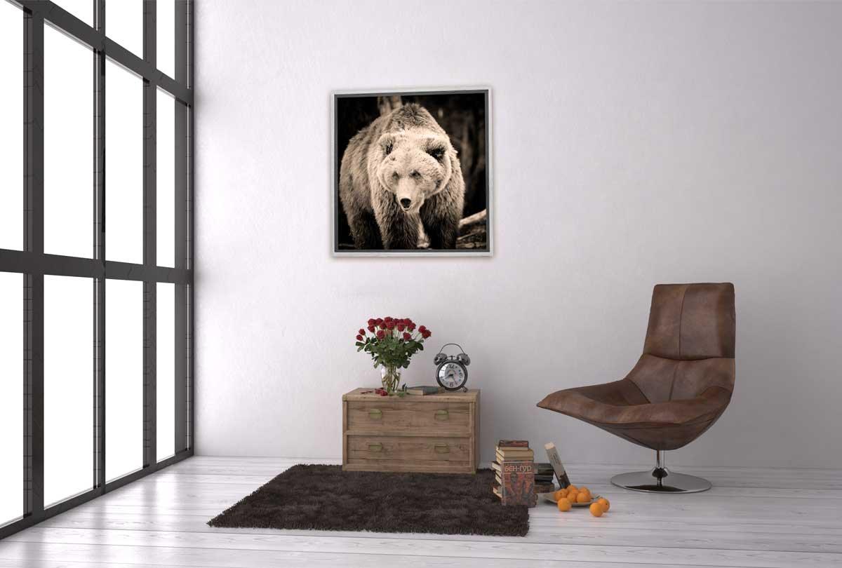 European Brown Bear | Canvas Wall Art Print - Final Touch Decor