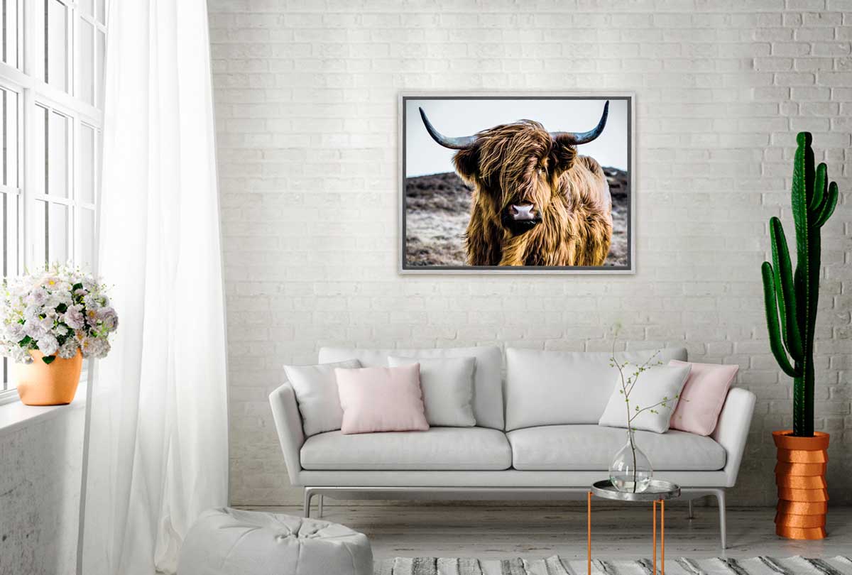 Highland Cow | Canvas Wall Art Print - Final Touch Decor