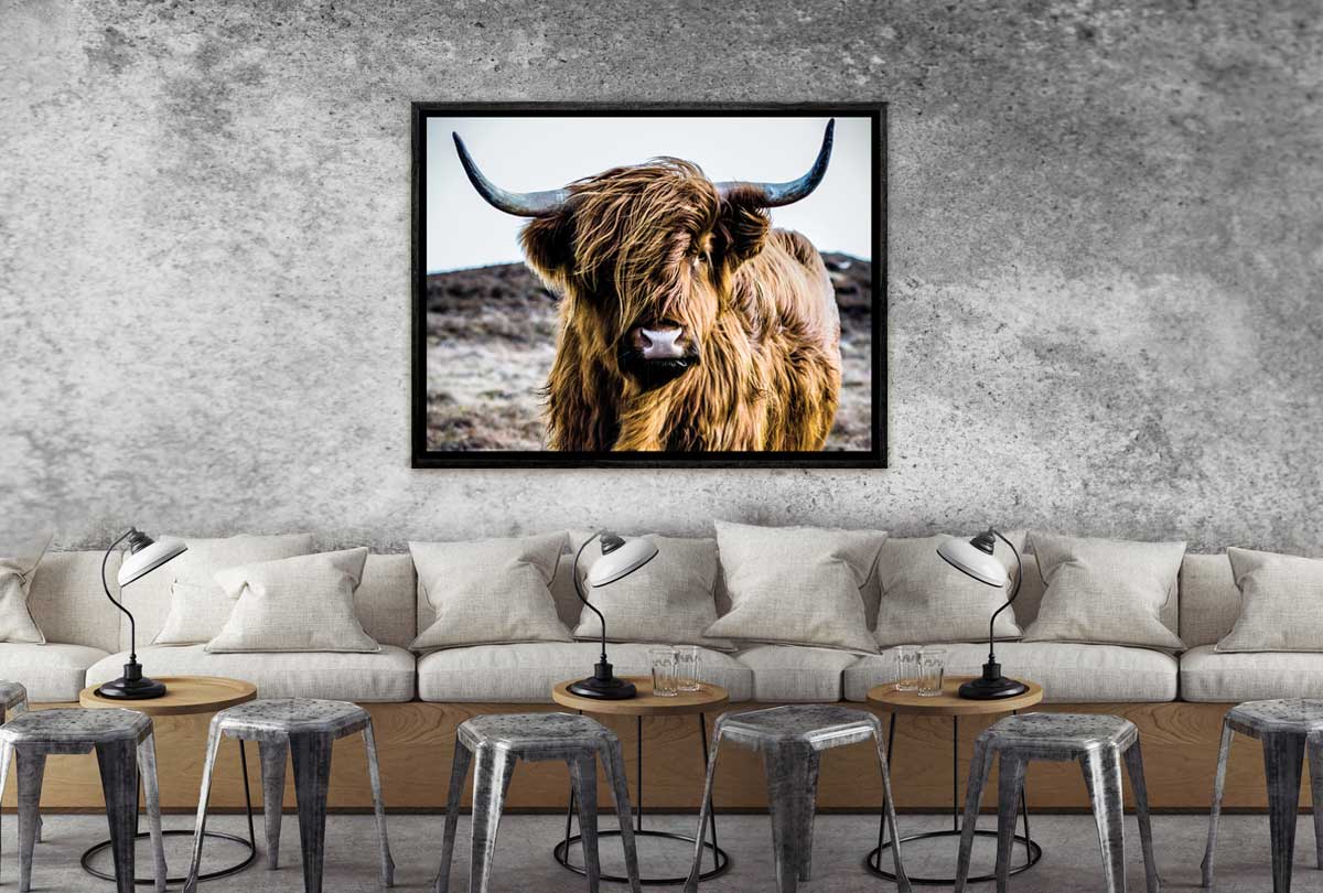 Highland Cow | Canvas Wall Art Print - Final Touch Decor