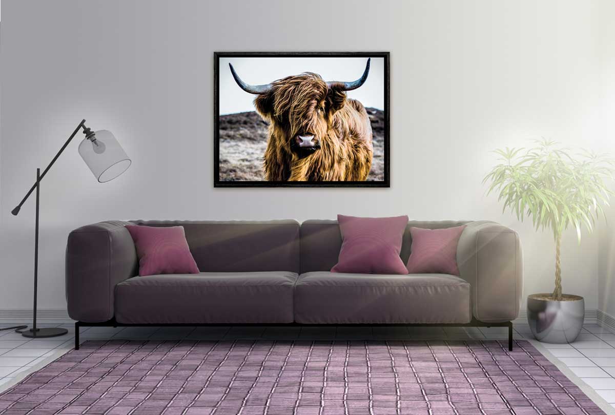 Highland Cow | Canvas Wall Art Print - Final Touch Decor