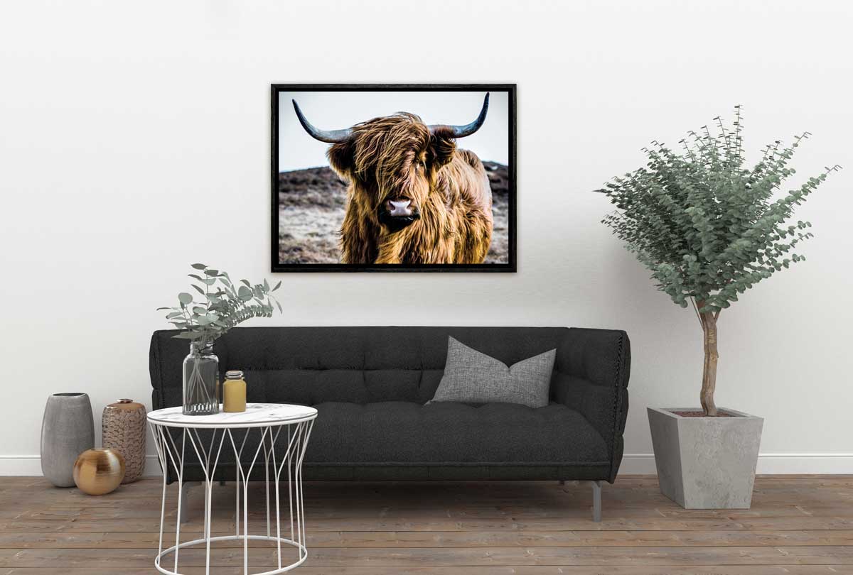Highland Cow | Canvas Wall Art Print - Final Touch Decor