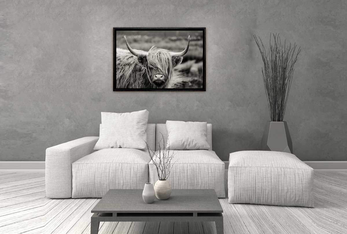 Highland Cow Monochrome | Canvas Wall Art Print - Final Touch Decor