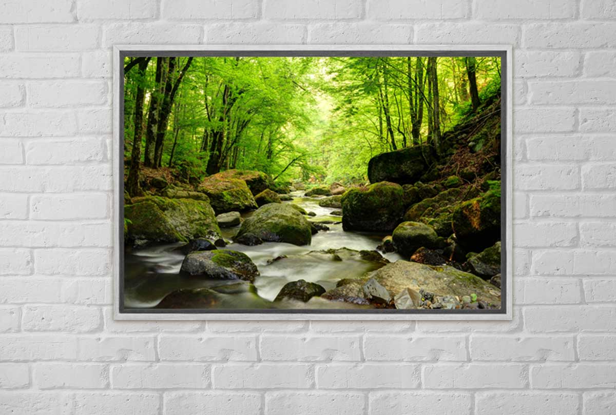 Tranquil Forest Creek | Canvas Wall Art Print - Final Touch Decor