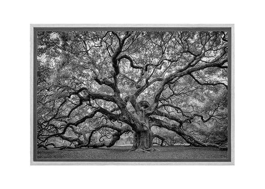 Giant Oak Tree | Canvas Wall Art Print - Final Touch Decor