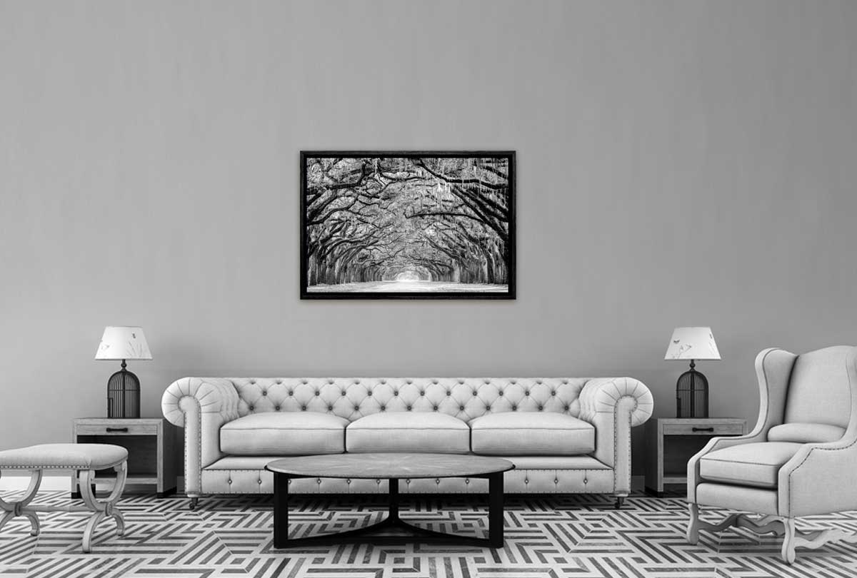 Avenue of Giant Oaks | Canvas Wall Art Print - Final Touch Decor