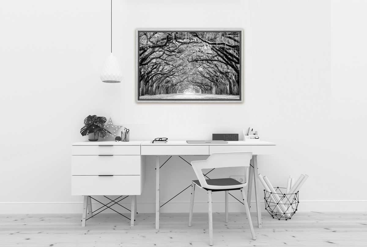 Avenue of Giant Oaks | Canvas Wall Art Print - Final Touch Decor