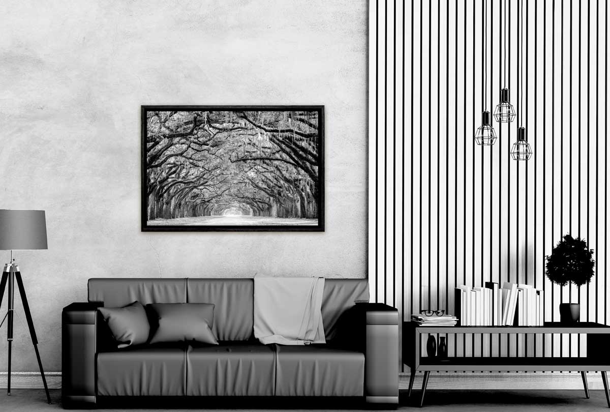 Avenue of Giant Oaks | Canvas Wall Art Print - Final Touch Decor