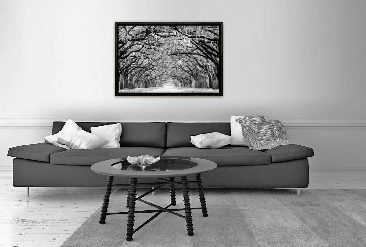Avenue of Giant Oaks | Canvas Wall Art Print - Final Touch Decor