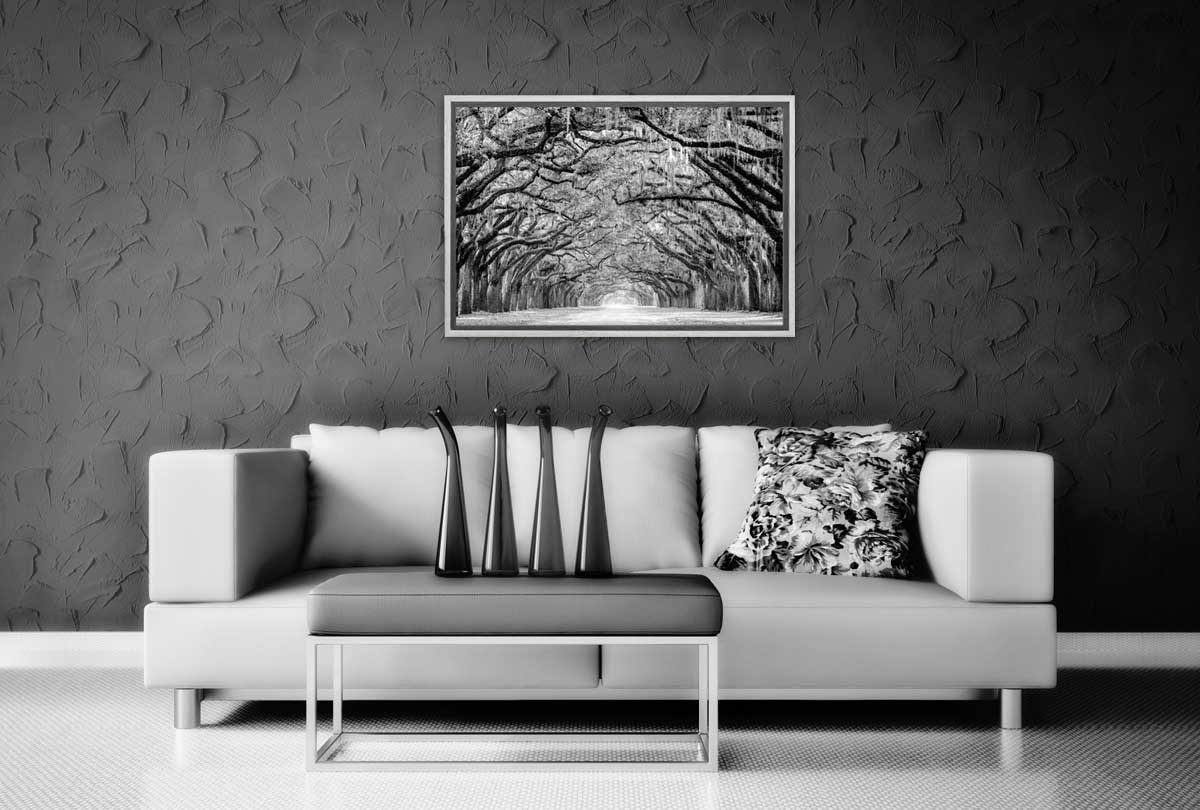 Avenue of Giant Oaks | Canvas Wall Art Print - Final Touch Decor