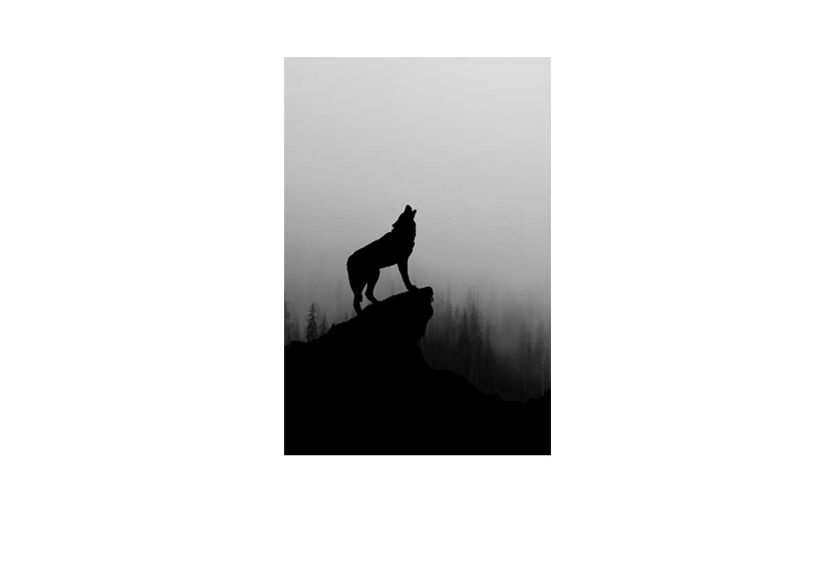 Howling Wolf | Canvas Wall Art Print - Final Touch Decor