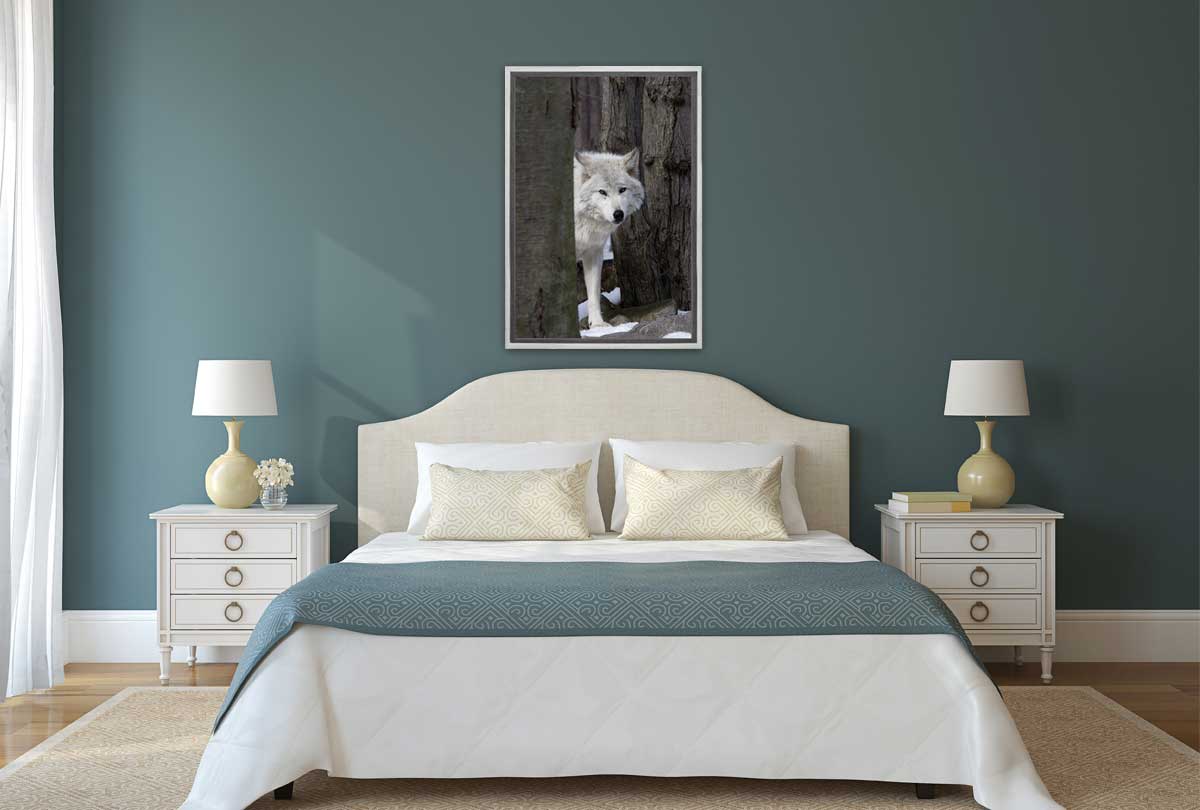 Timber Wolf | Canvas Wall Art Print - Final Touch Decor