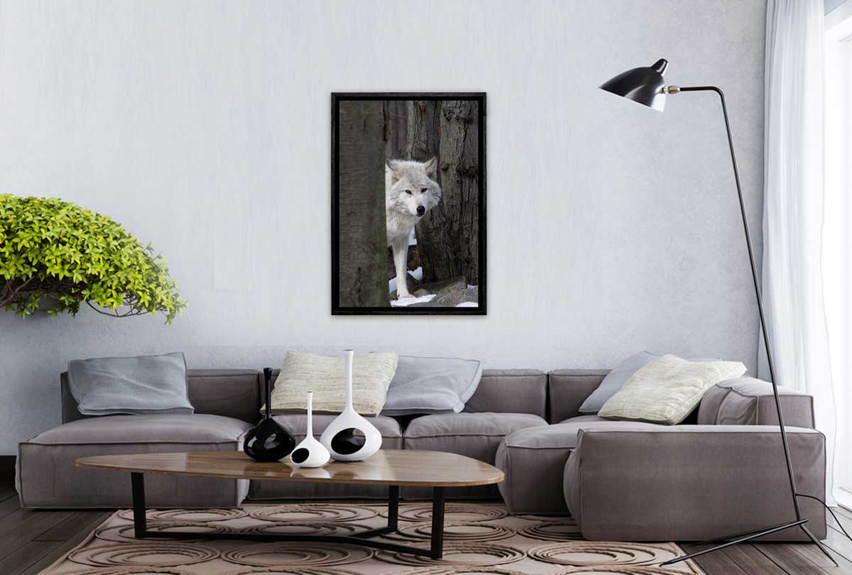 Timber Wolf | Canvas Wall Art Print - Final Touch Decor