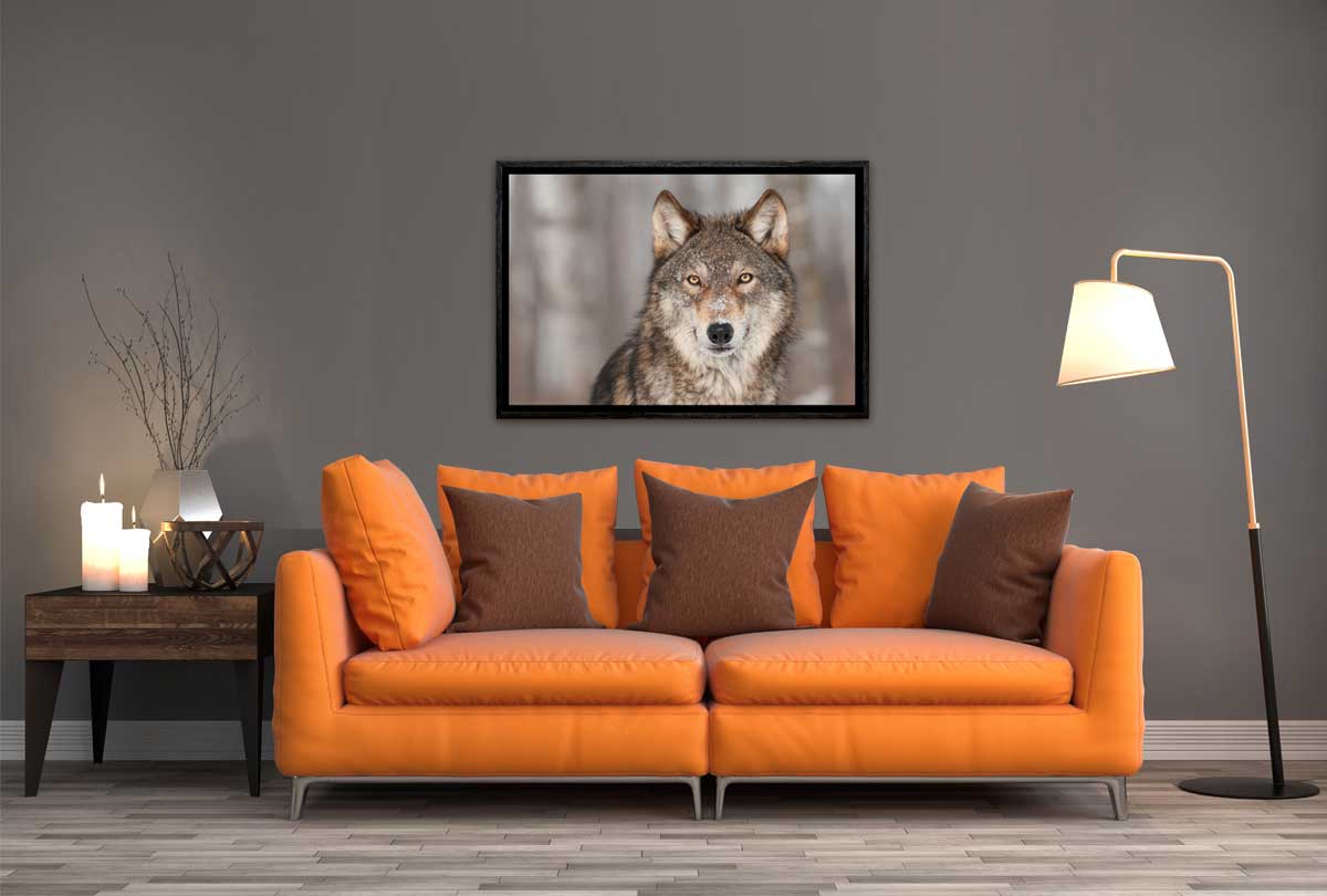 Grey Wolf Portrait | Canvas Wall Art Print - Final Touch Decor