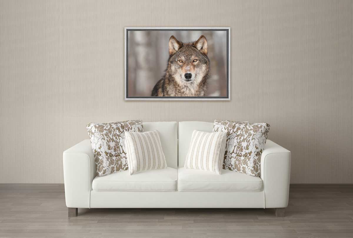 Grey Wolf Portrait | Canvas Wall Art Print - Final Touch Decor