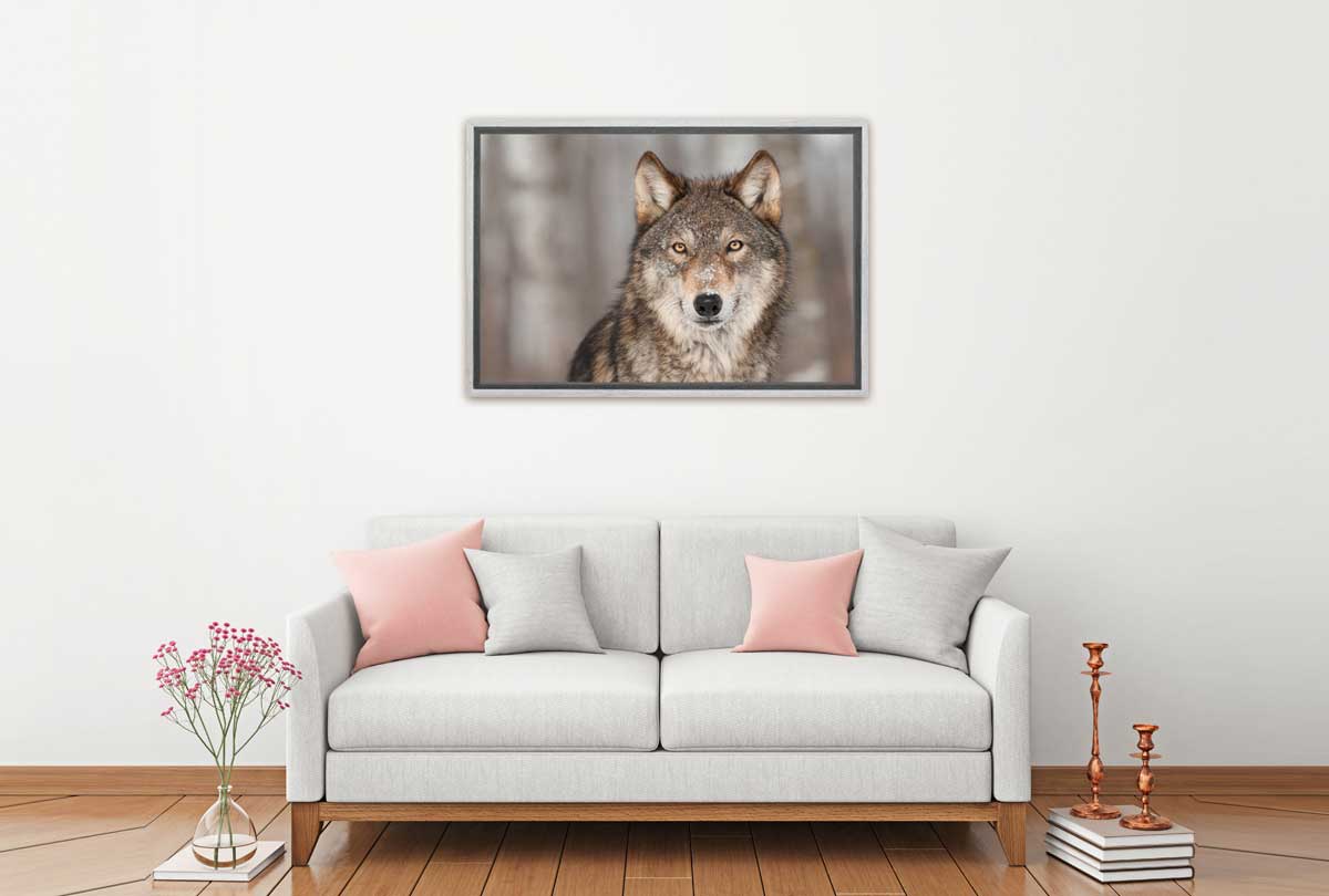 Grey Wolf Portrait | Canvas Wall Art Print - Final Touch Decor