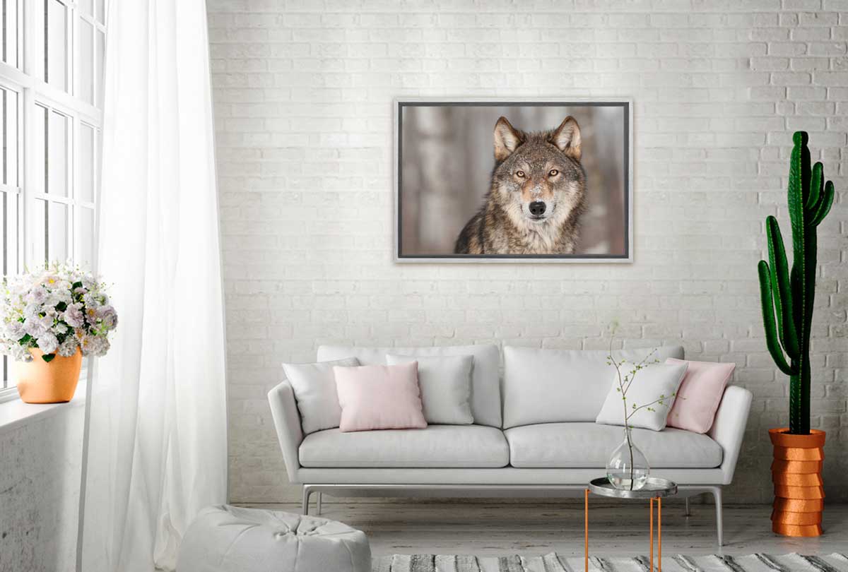 Grey Wolf Portrait | Canvas Wall Art Print - Final Touch Decor