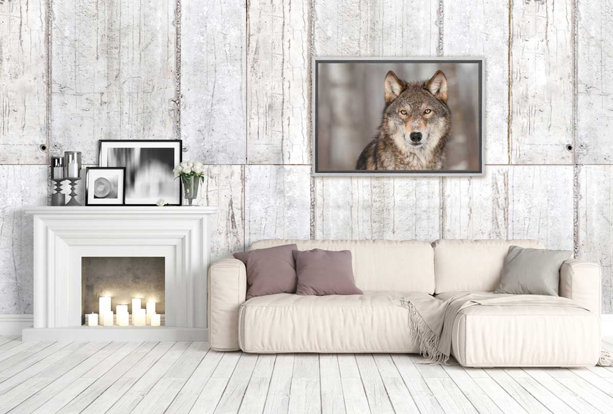 Grey Wolf Portrait | Canvas Wall Art Print - Final Touch Decor