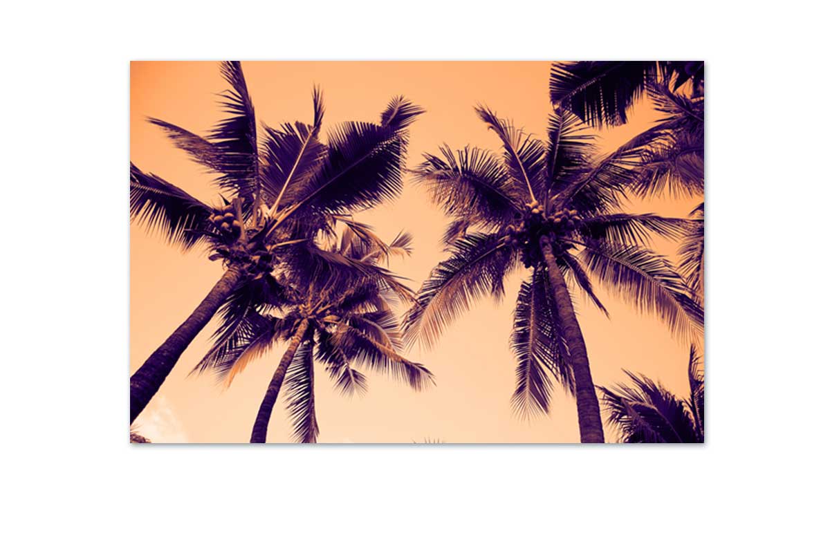 Palms Orange Sky | Canvas Wall Art Print - Final Touch Decor