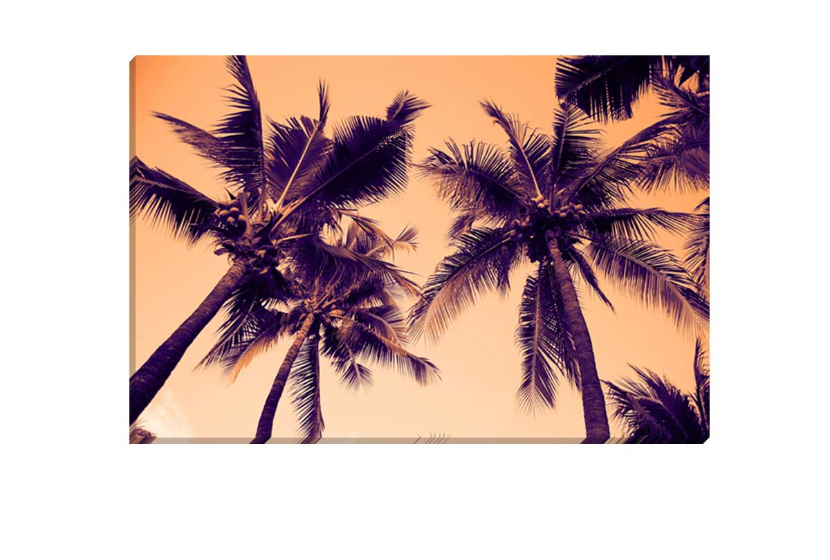 Palms Orange Sky | Canvas Wall Art Print - Final Touch Decor