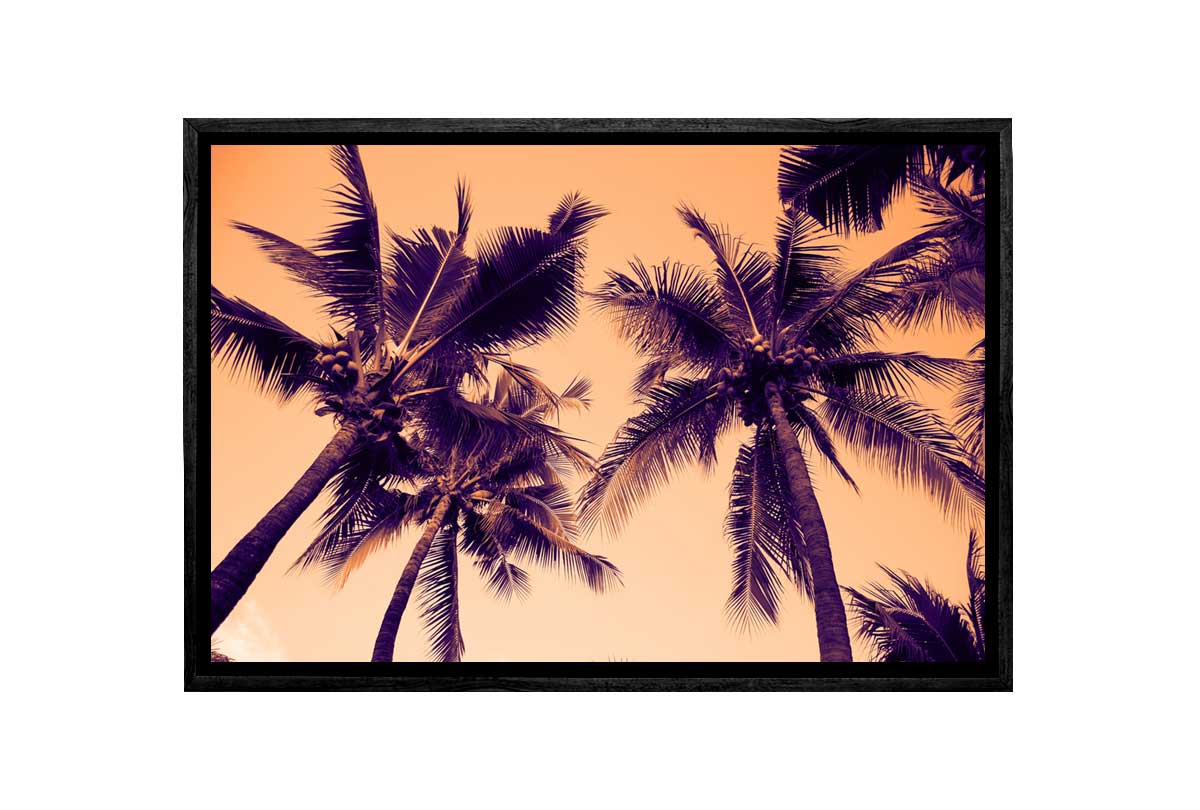 Palms Orange Sky | Canvas Wall Art Print - Final Touch Decor