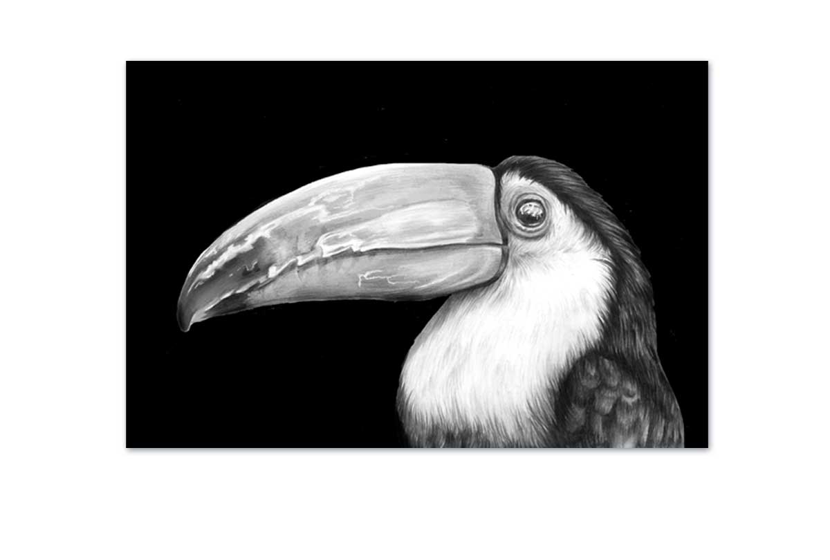 Toucan | Canvas Wall Art Print - Final Touch Decor