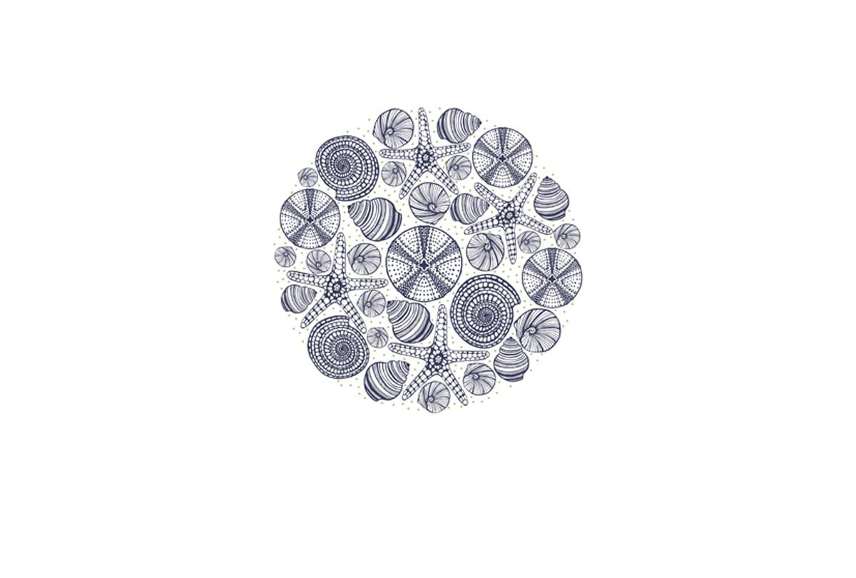 Shells Star Fish Navy on White | Canvas Wall Art Print - Final Touch Decor