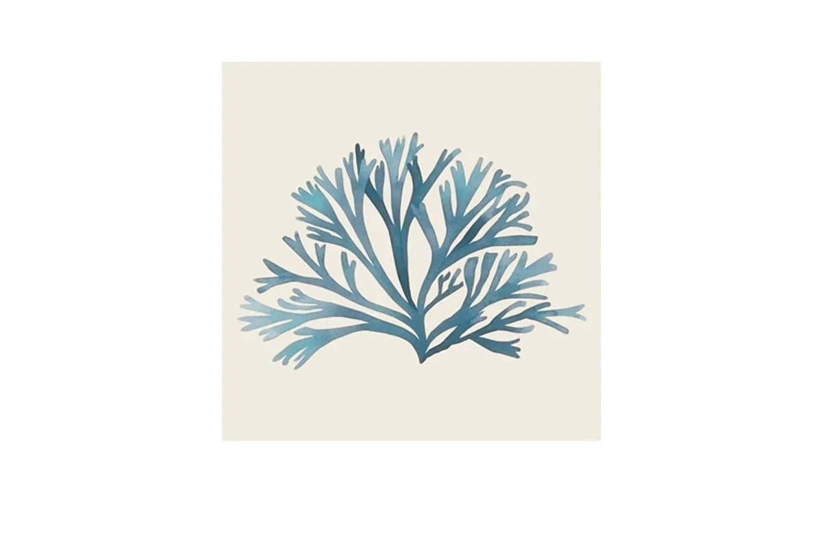 Seaweed 2 Turquoise | Canvas Wall Art Print - Final Touch Decor