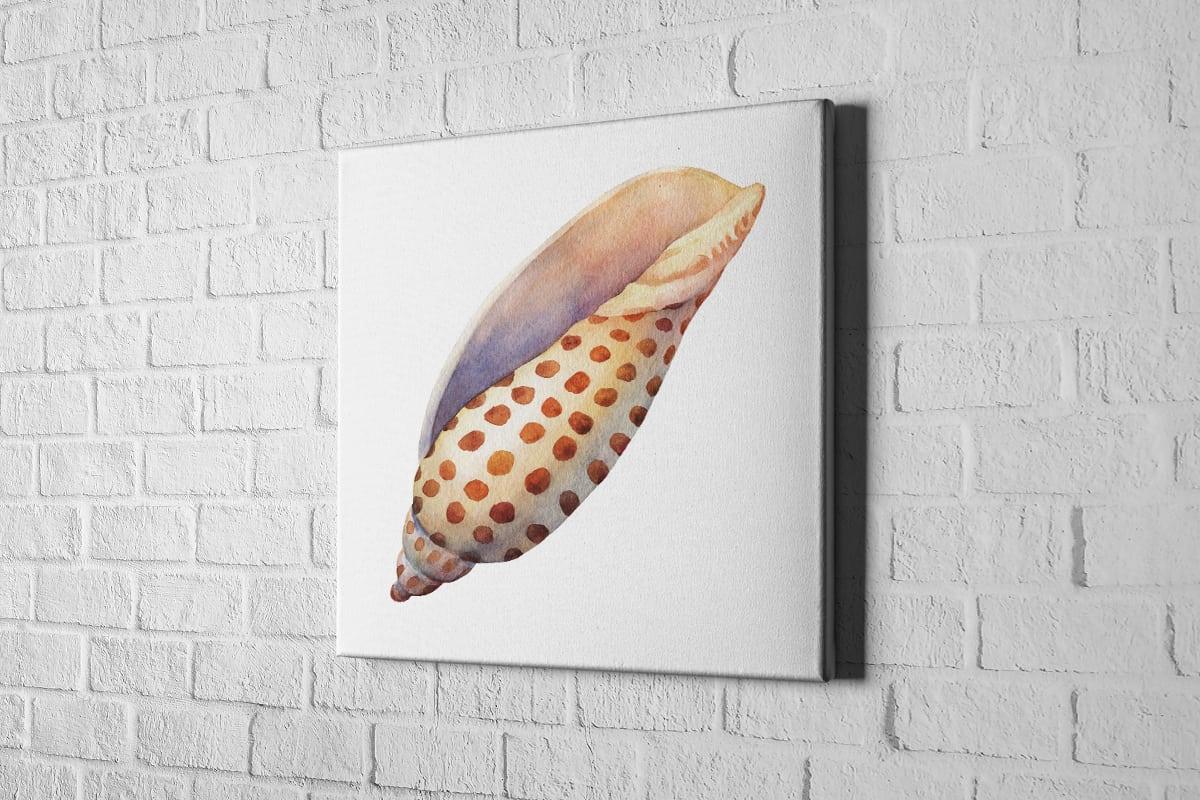 Junonia Sea Shell | Canvas Wall Art Print - Final Touch Decor