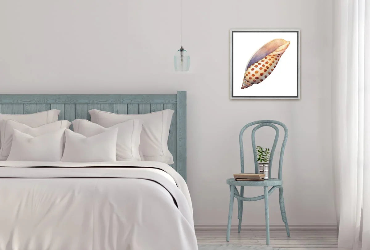 Junonia Sea Shell | Canvas Wall Art Print - Final Touch Decor