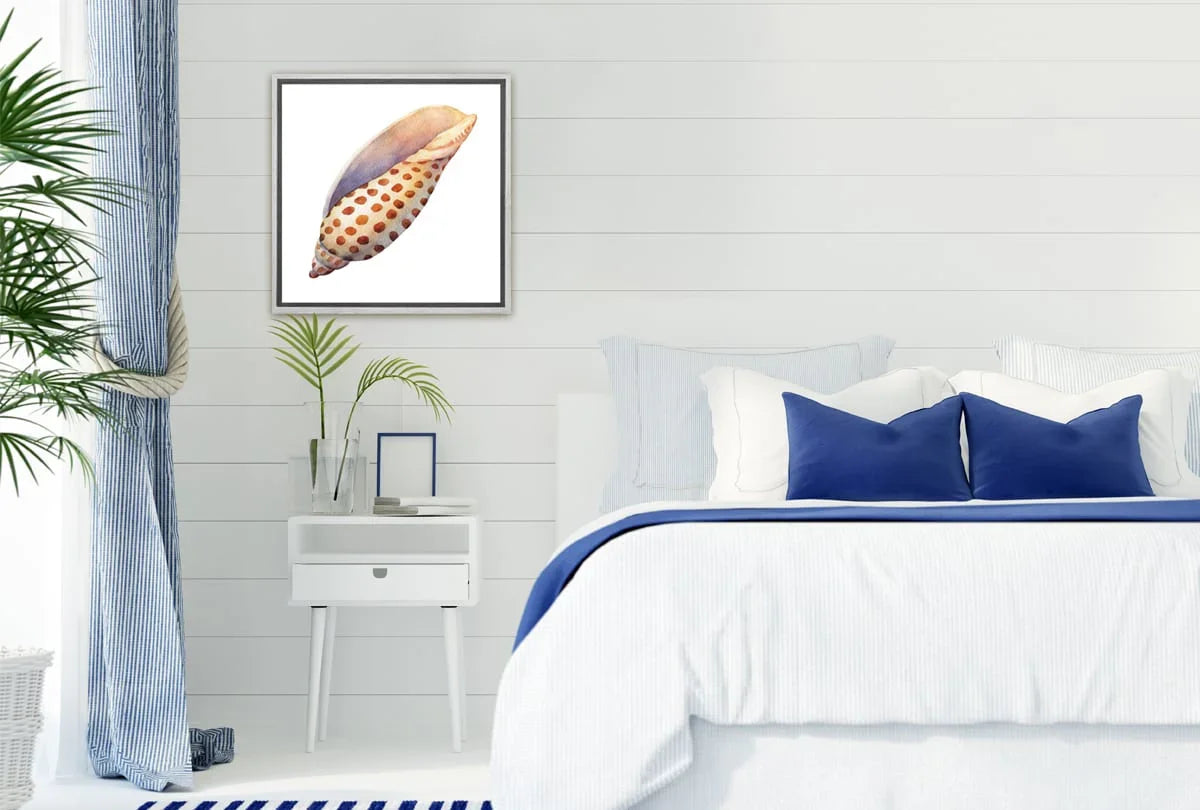 Junonia Sea Shell | Canvas Wall Art Print - Final Touch Decor