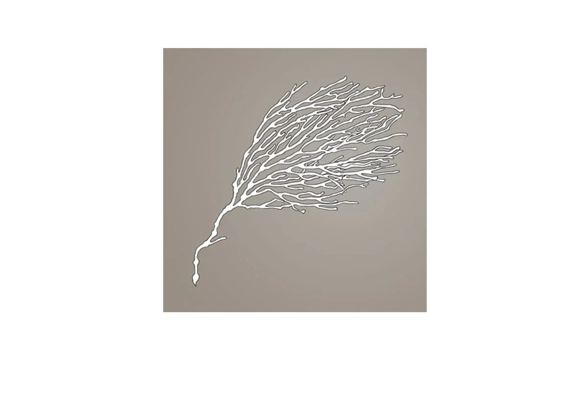 Fan Coral White on Beige | Canvas Wall Art Print - Final Touch Decor