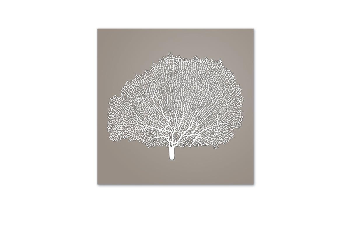 Fan Coral 2 White on Beige | Canvas Wall Art Print - Final Touch Decor