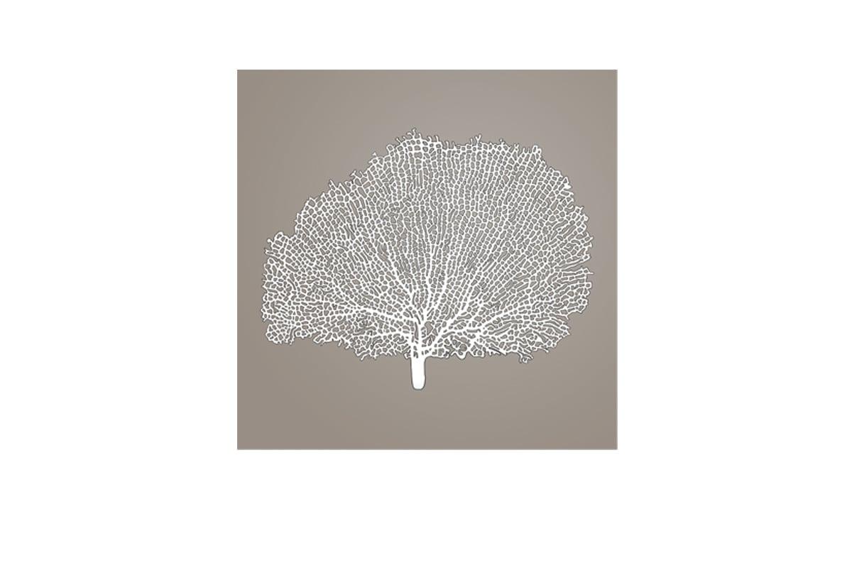 Fan Coral 2 White on Beige | Canvas Wall Art Print - Final Touch Decor