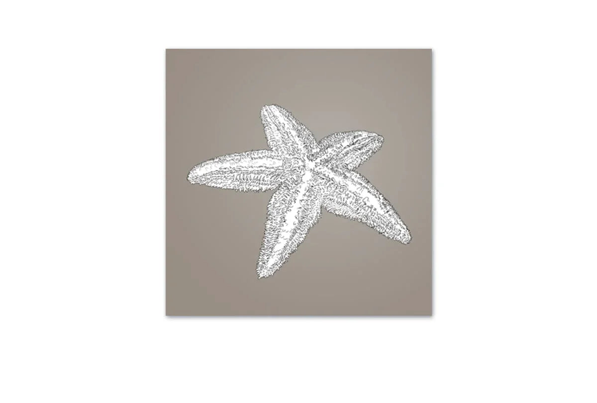 Star Fish White on Beige | Canvas Wall Art Print - Final Touch Decor
