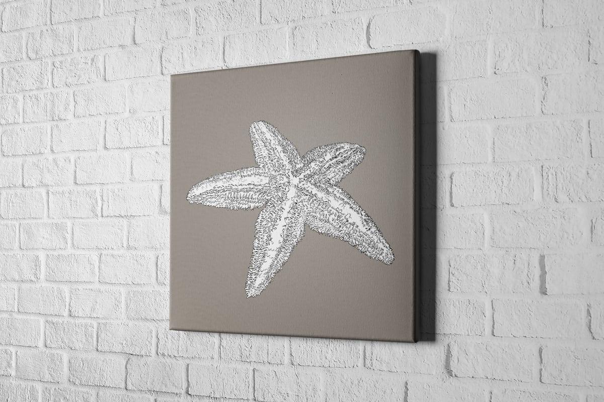Star Fish White on Beige | Canvas Wall Art Print - Final Touch Decor