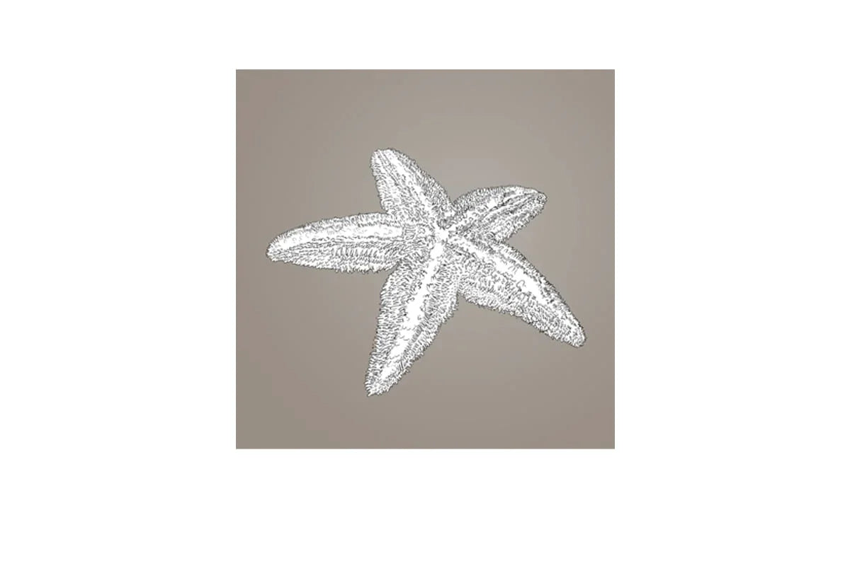 Star Fish White on Beige | Canvas Wall Art Print - Final Touch Decor